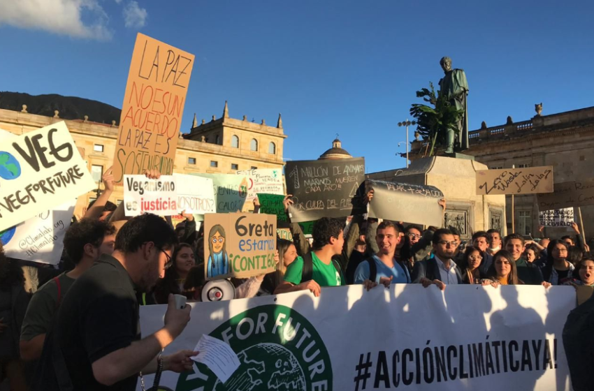  Jóvenes latinoamericanos profundizan la lucha ante la crisis climática